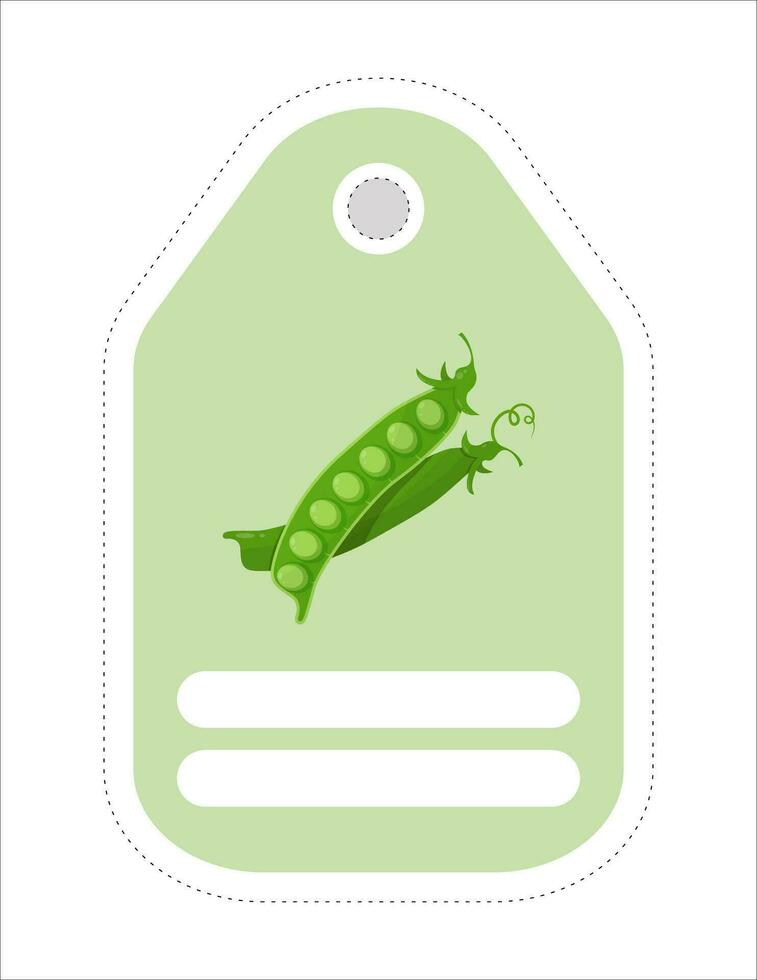 Cute vegetable label. Memo, writing paper.Label with the image of peas vector