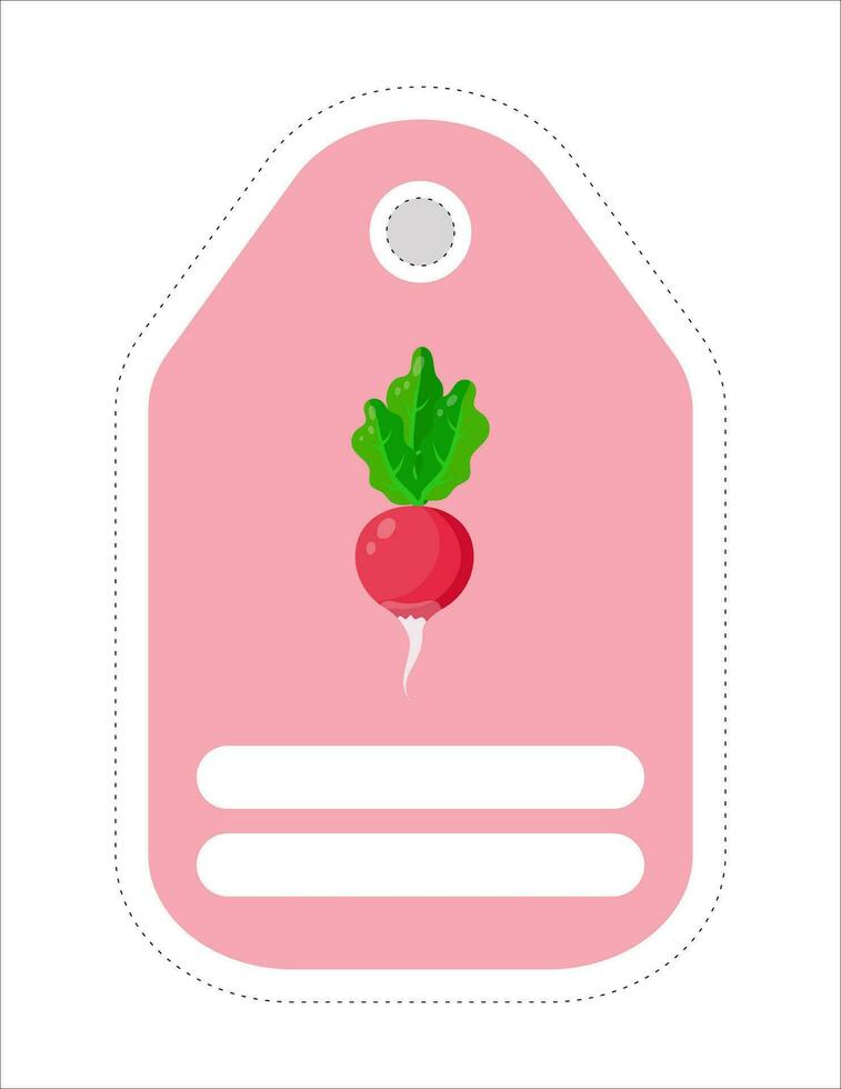 Cute vegetable label. Memo, writing paper.Label with the image of radish vector