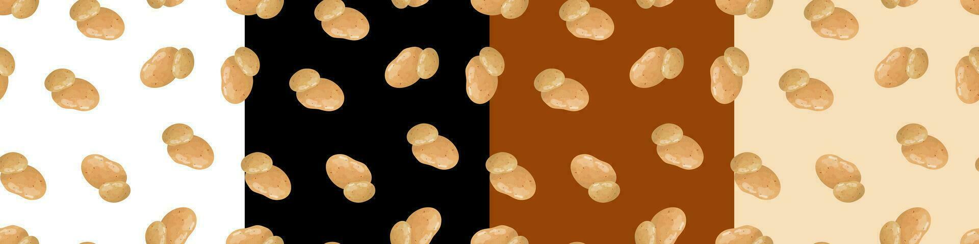 A set of seamless patterns with potatoes. Pattern with vegetables vector