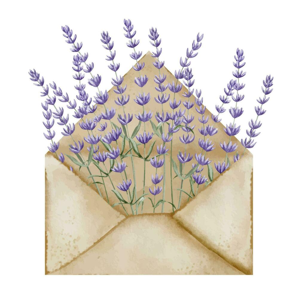 Lavender in open Envelope. Hand drawn watercolor illustration of Letter and Provence violet Lavandula flowers on white isolated background. Floral drawing for greeting cards or wedding invitations vector