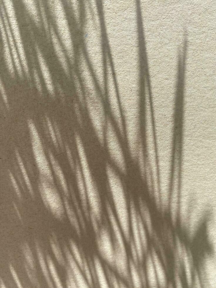 Leaves shadow background on wooden floor texture, leaves tree branches shade with sunlight photo