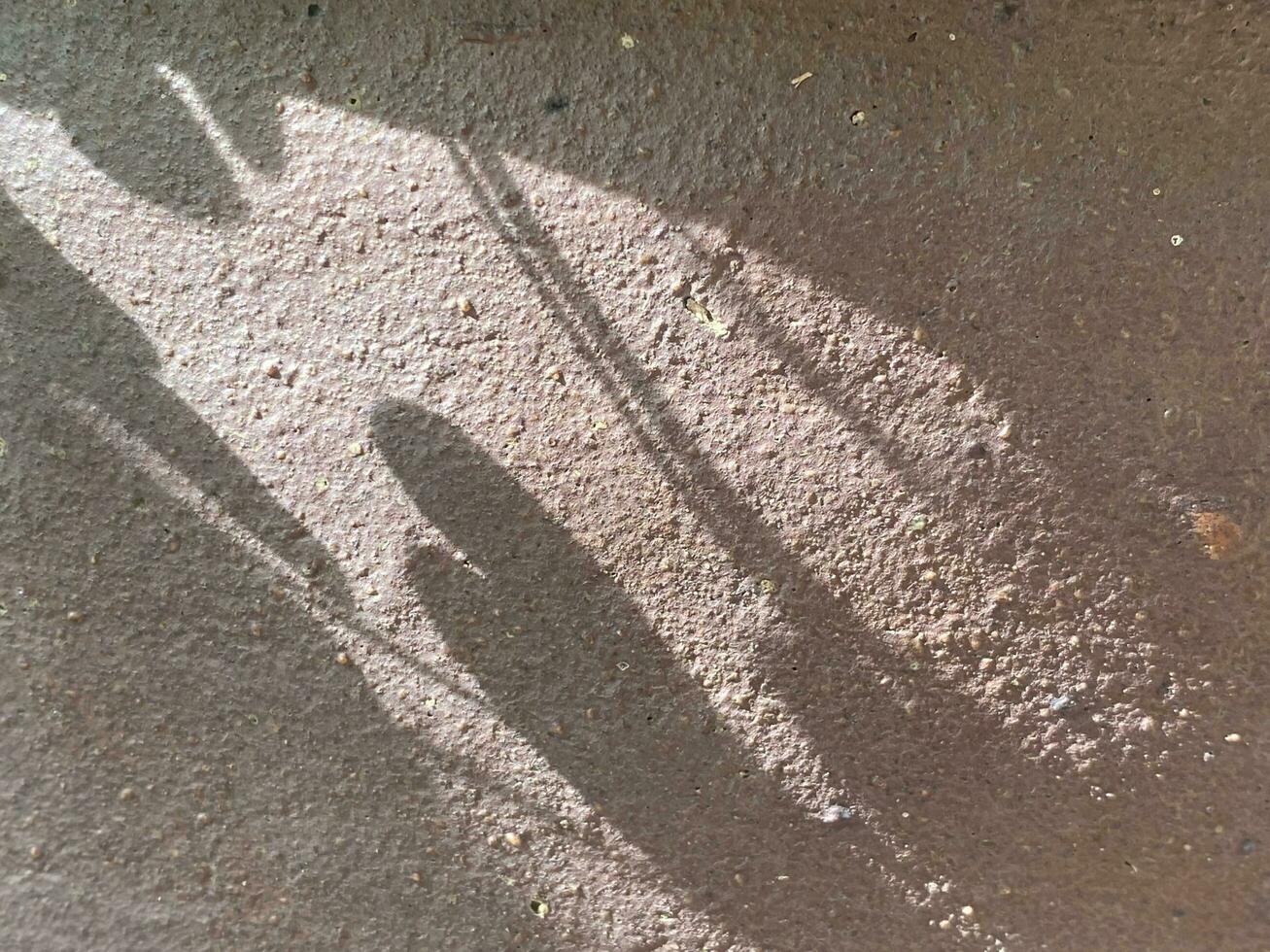 Leaves shadow background on concrete wall texture, leaves tree branches shade photo