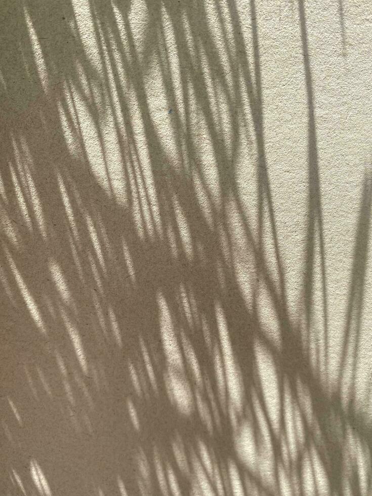 Leaves shadow background on concrete wall texture, leaves tree branches shade photo