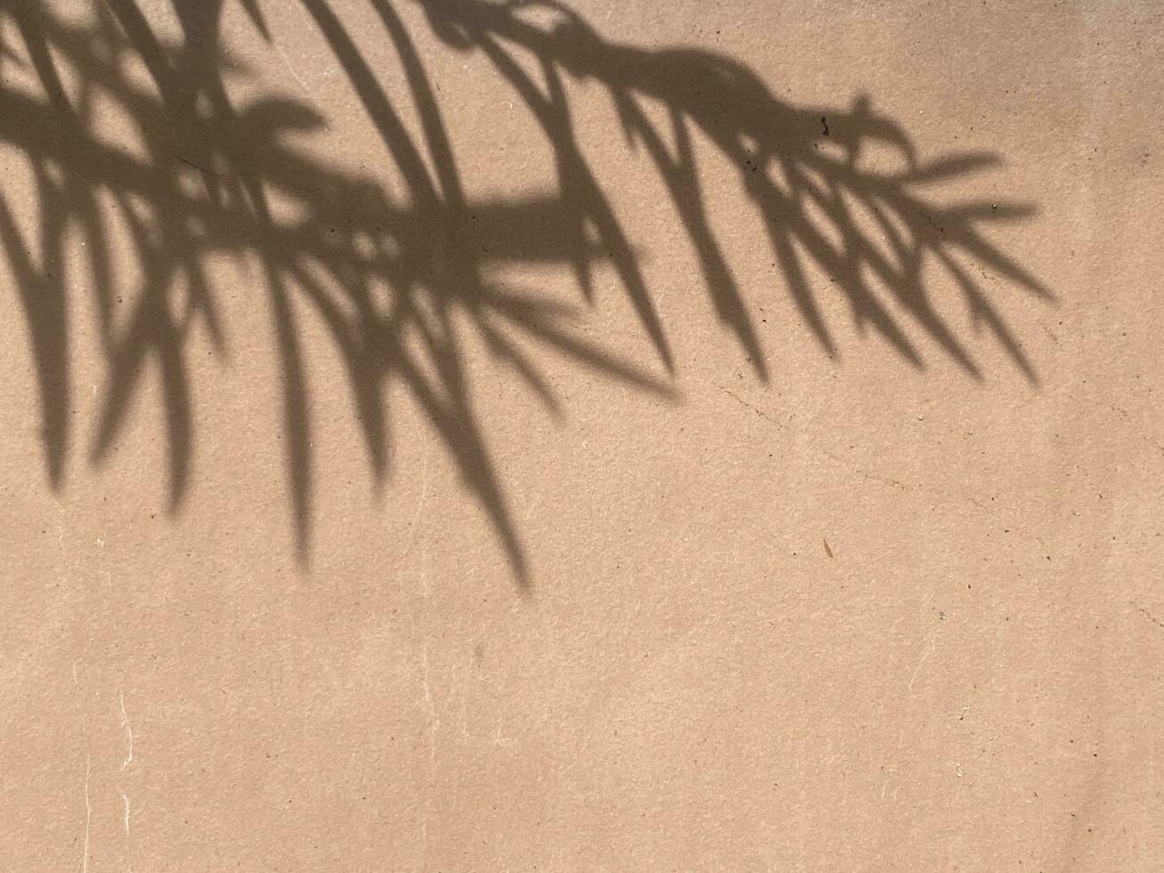 Leaves shadow background on concrete wall texture, leaves tree branches shade photo