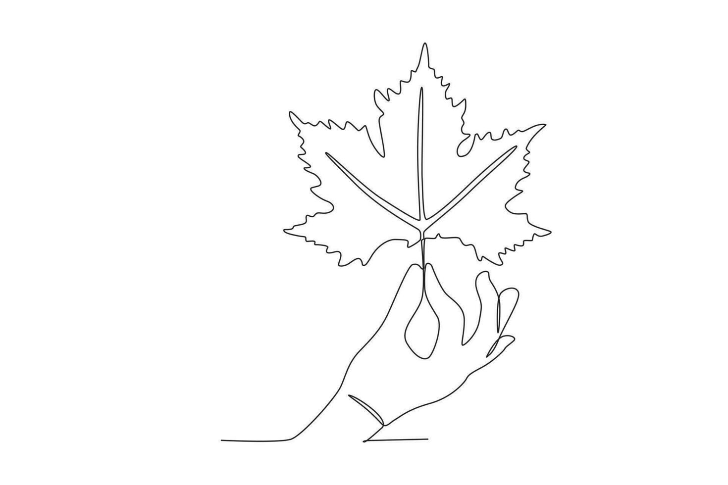 A hand holding a maple leaf vector