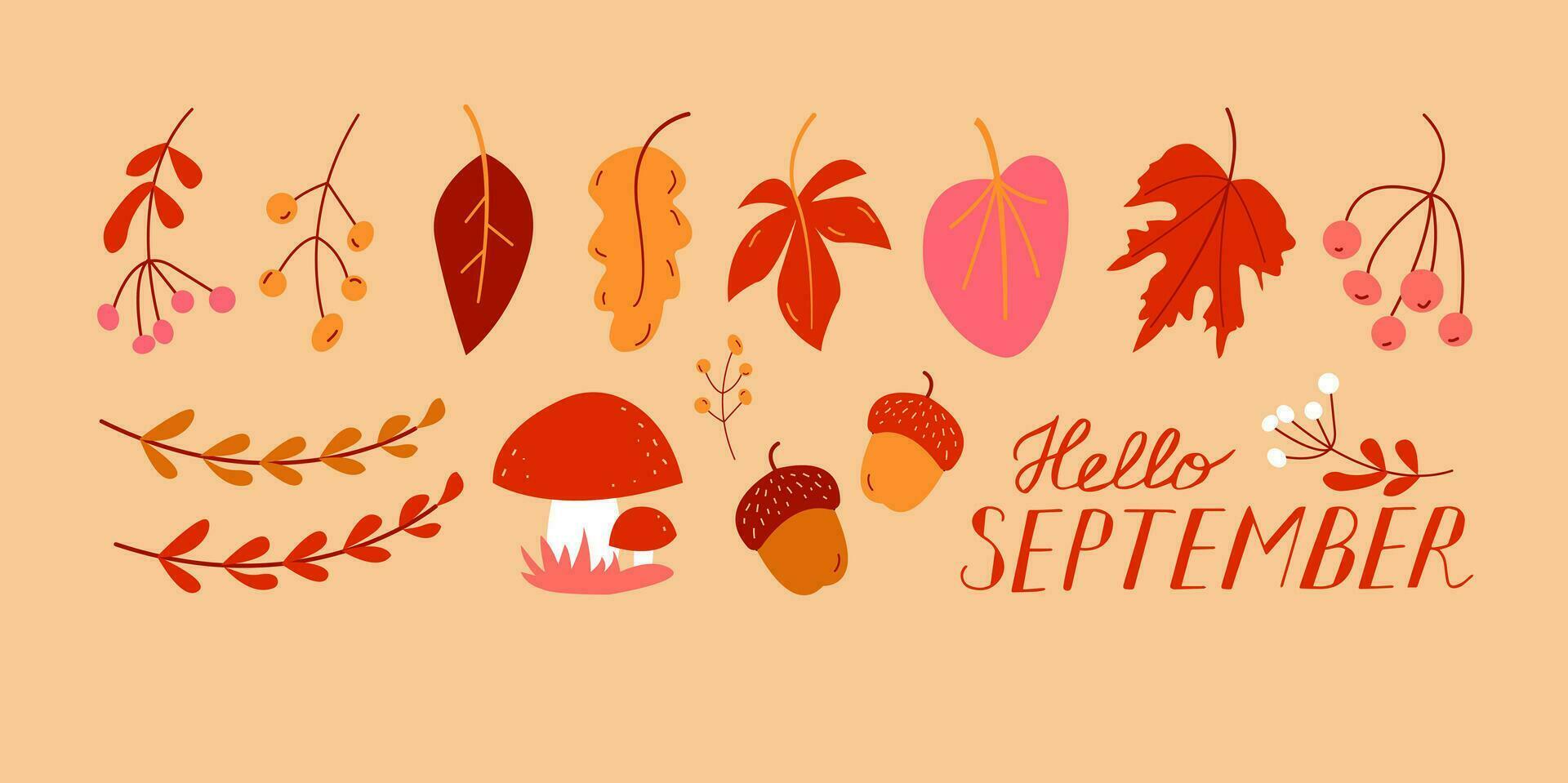 Hello September. SEPTEMBER month vector with leaves, berries, acorn and mushrooms. Decoration autumn text hand lettering.