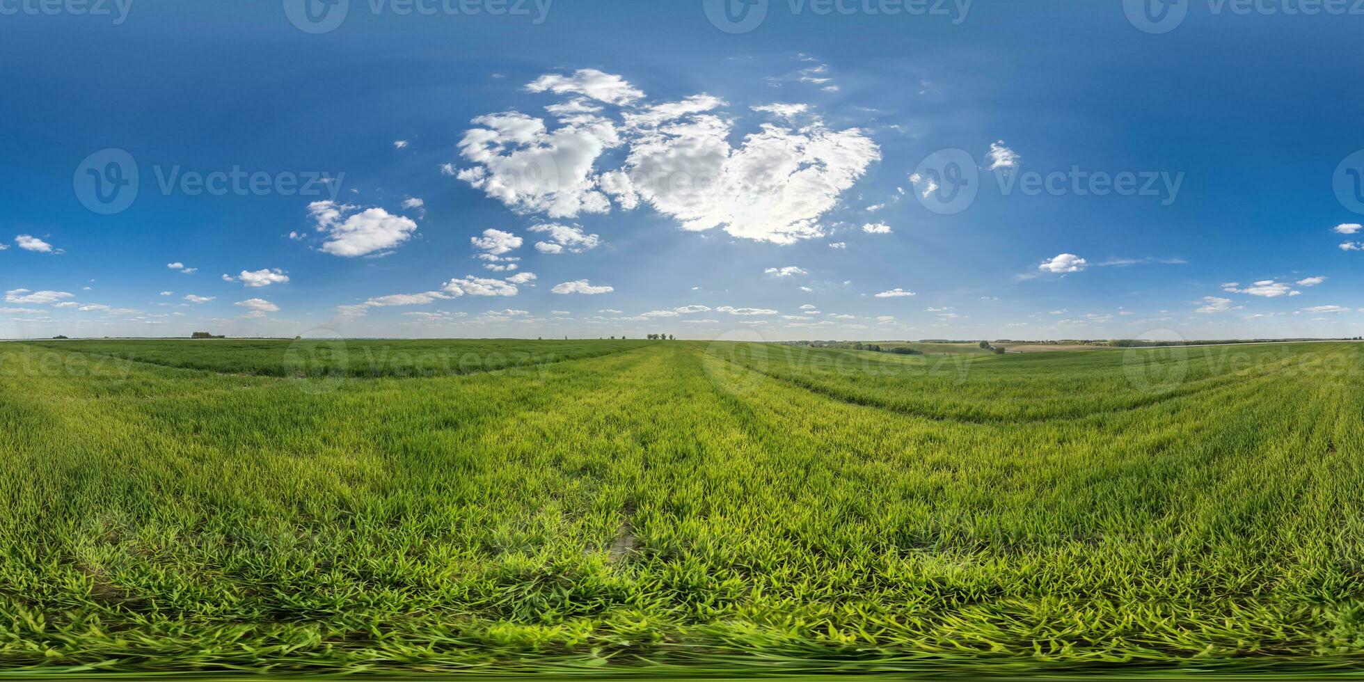 spherical 360 hdri panorama among green grass farming field with clouds on blue sky in equirectangular seamless projection, use as sky replacement, game development as sky dome or VR content photo