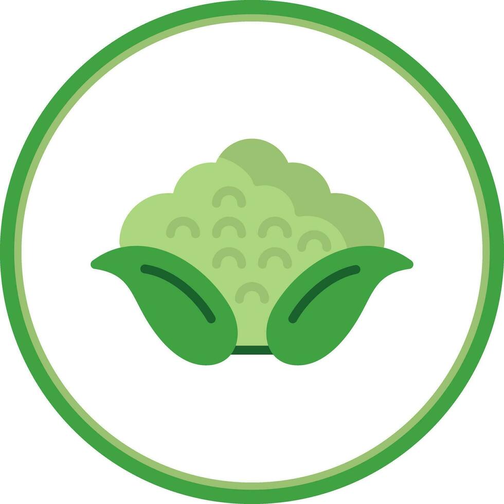 Cauliflower Vector Icon Design