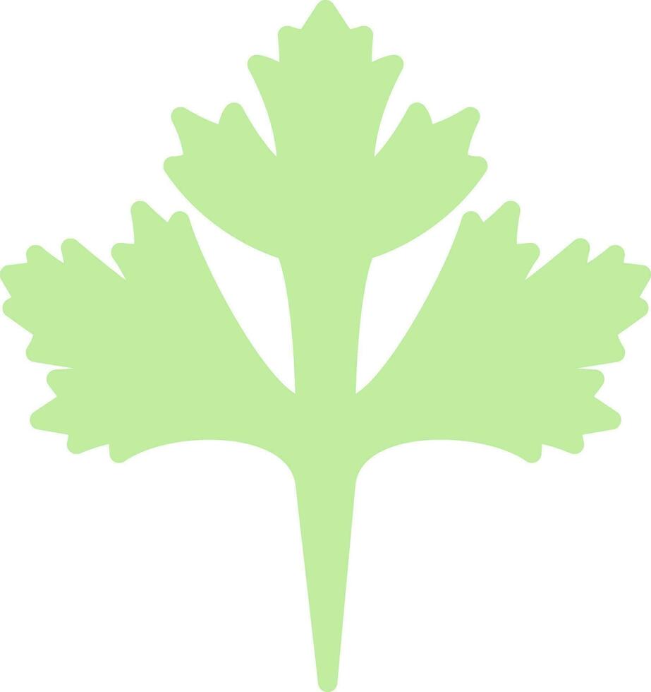Cilantro Vector Icon Design