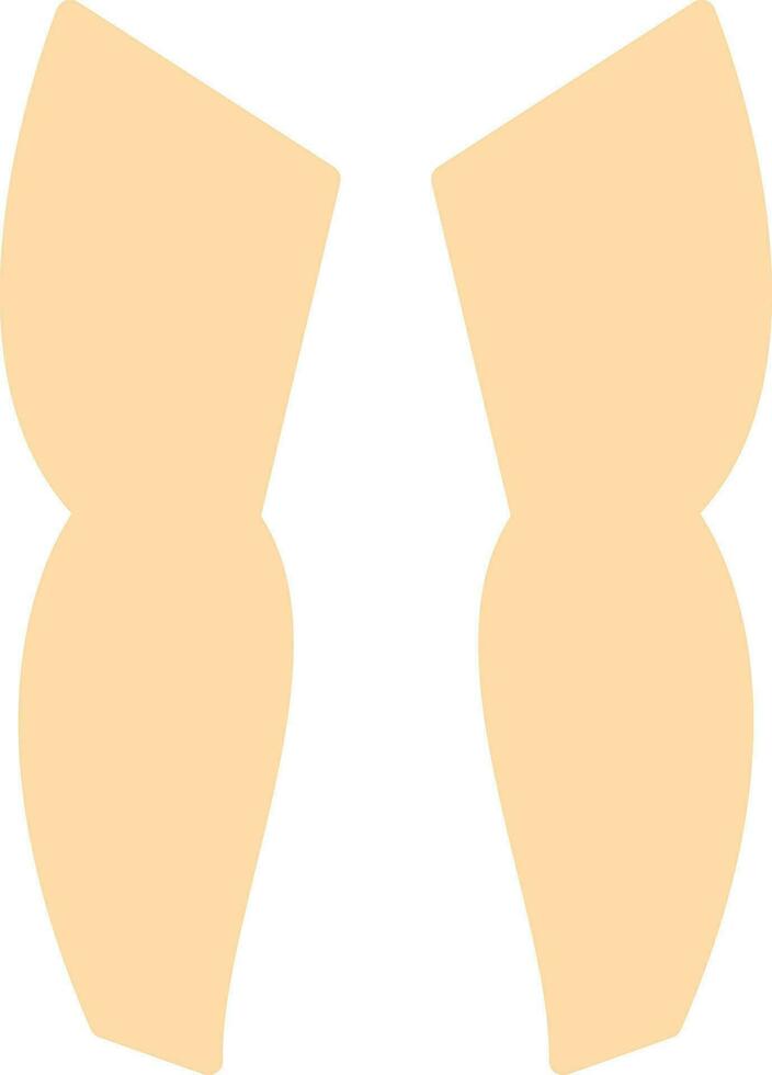 Legs  Vector Icon Design