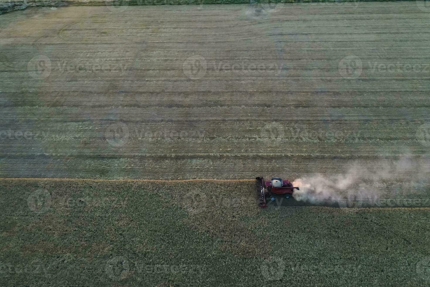 Wheat harvest in the Argentine countryside, La Pampa province, Patagonia, Argentina. photo
