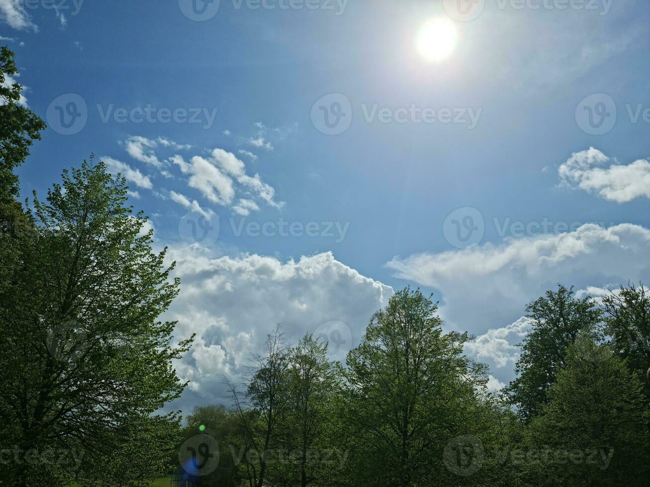 Beautiful Trees at Wardown Public Park of Luton England UK. photo