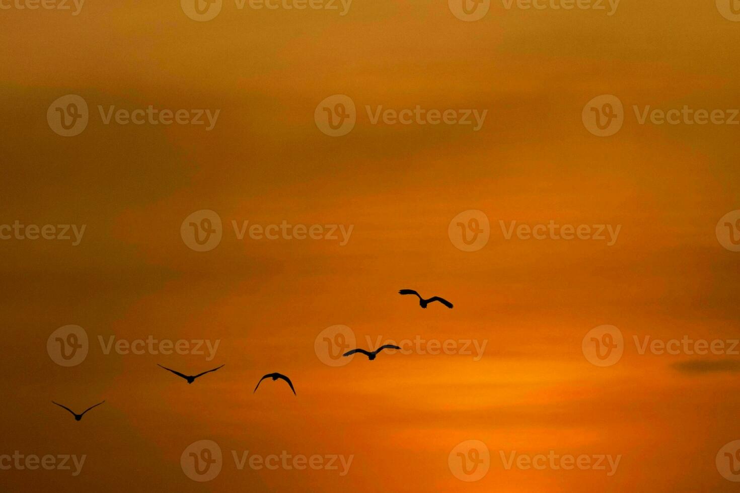 hermosa ver de un tierra y cielo - increíble cielo con nubes foto