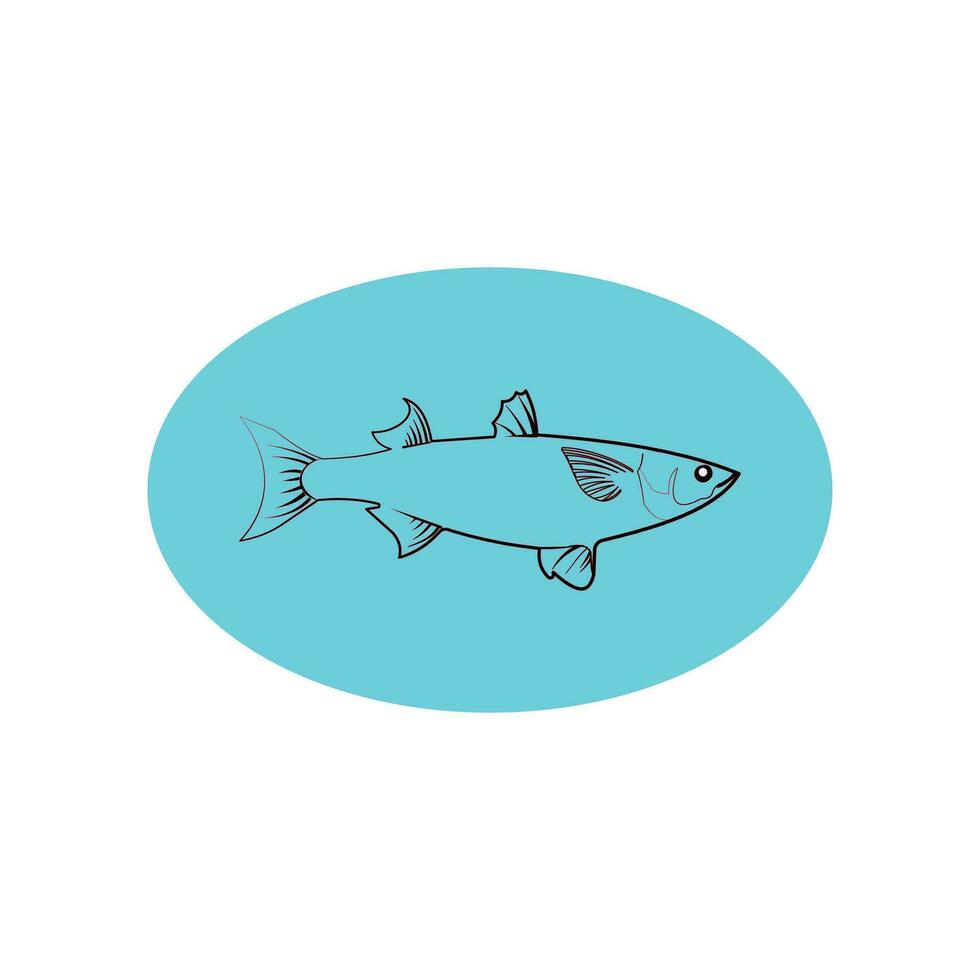 Vector mullet fish isolated on blue background