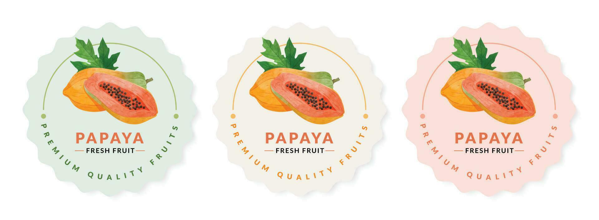 papaya embalaje diseño plantillas, acuarela estilo vector ilustración.