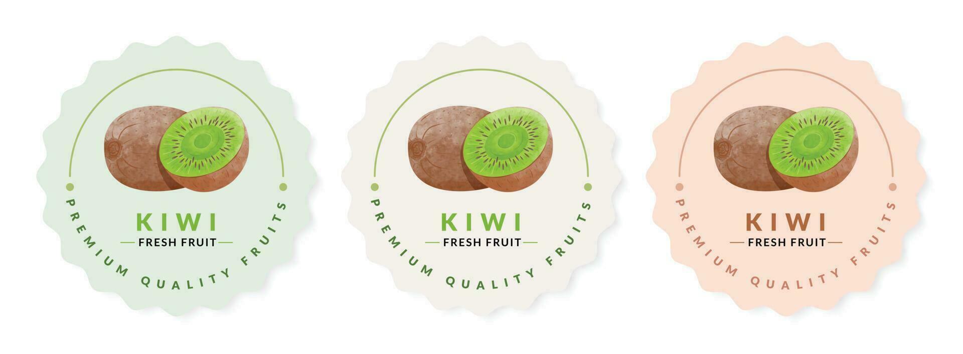 Kiwi fruit packaging design templates, watercolour style vector illustration.