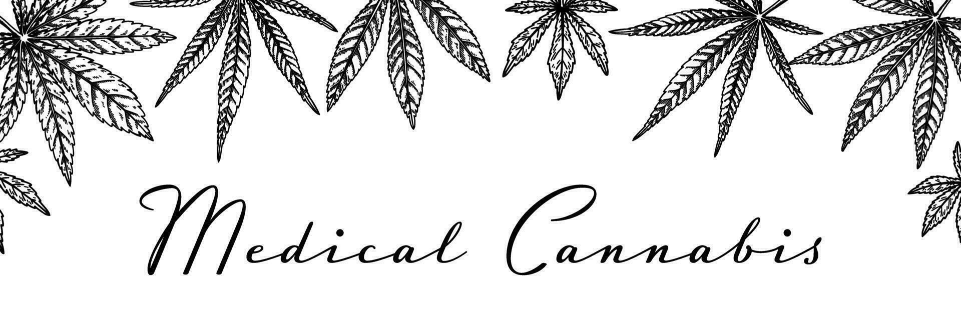 Cannabis horizontal design for packaging, social media posts, store decoration, branding, certificates. Marijuana vector illustration in sketch style. Hemp engraved background