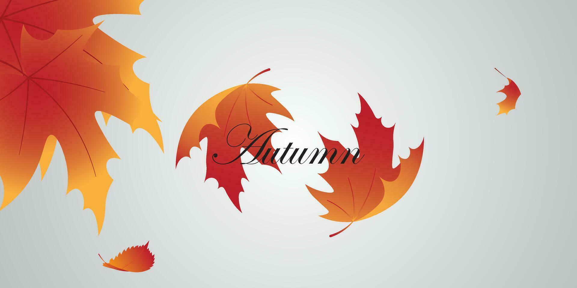 background vector design with autumn theme.