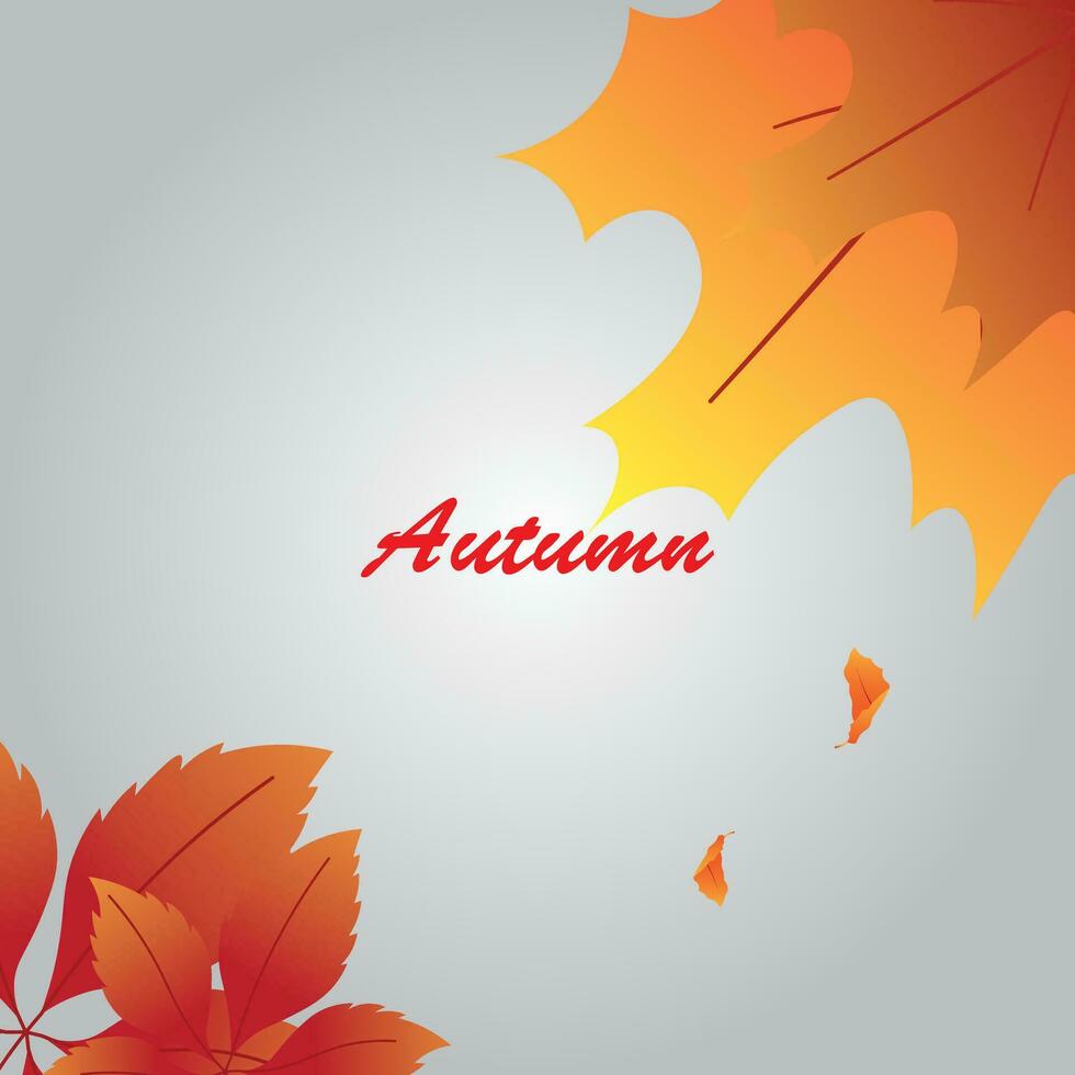 antecedentes vector diseño con otoño tema.