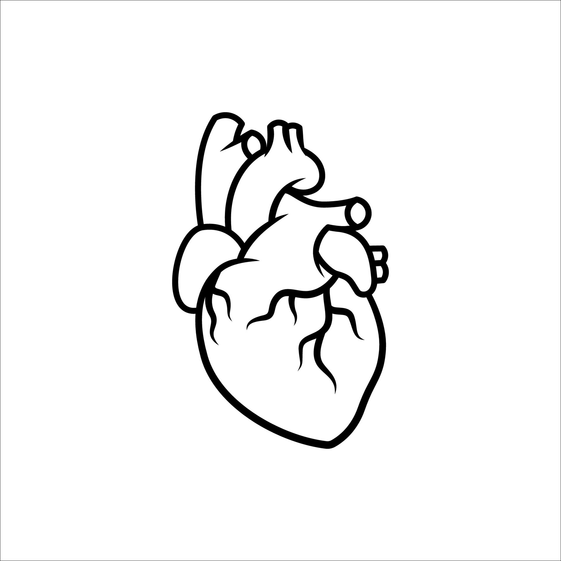 human heart vector isolated white background 26261834 Vector Art at