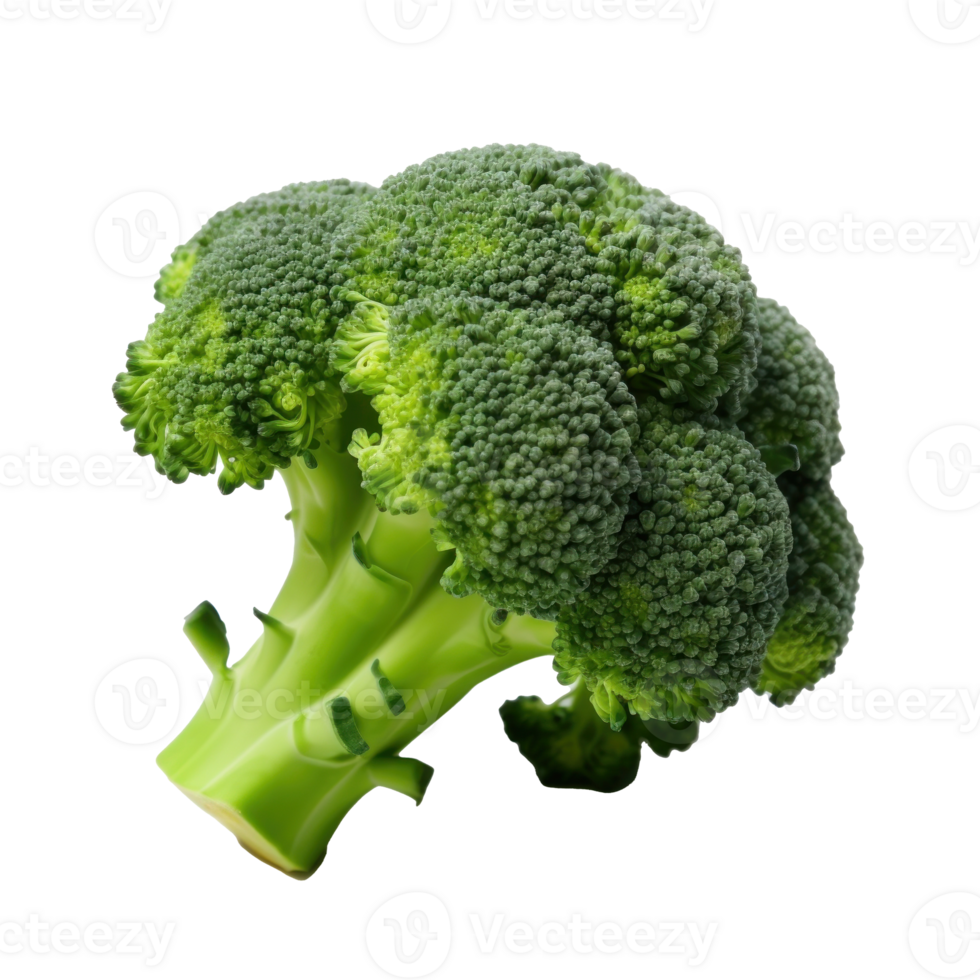 Fresh brocolli isolated. Illustration png
