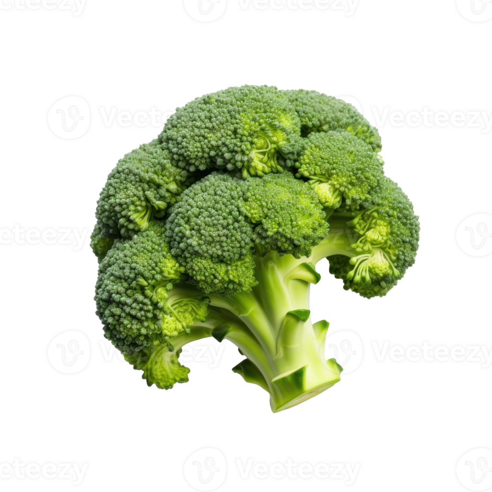 Fresh brocolli isolated. Illustration png