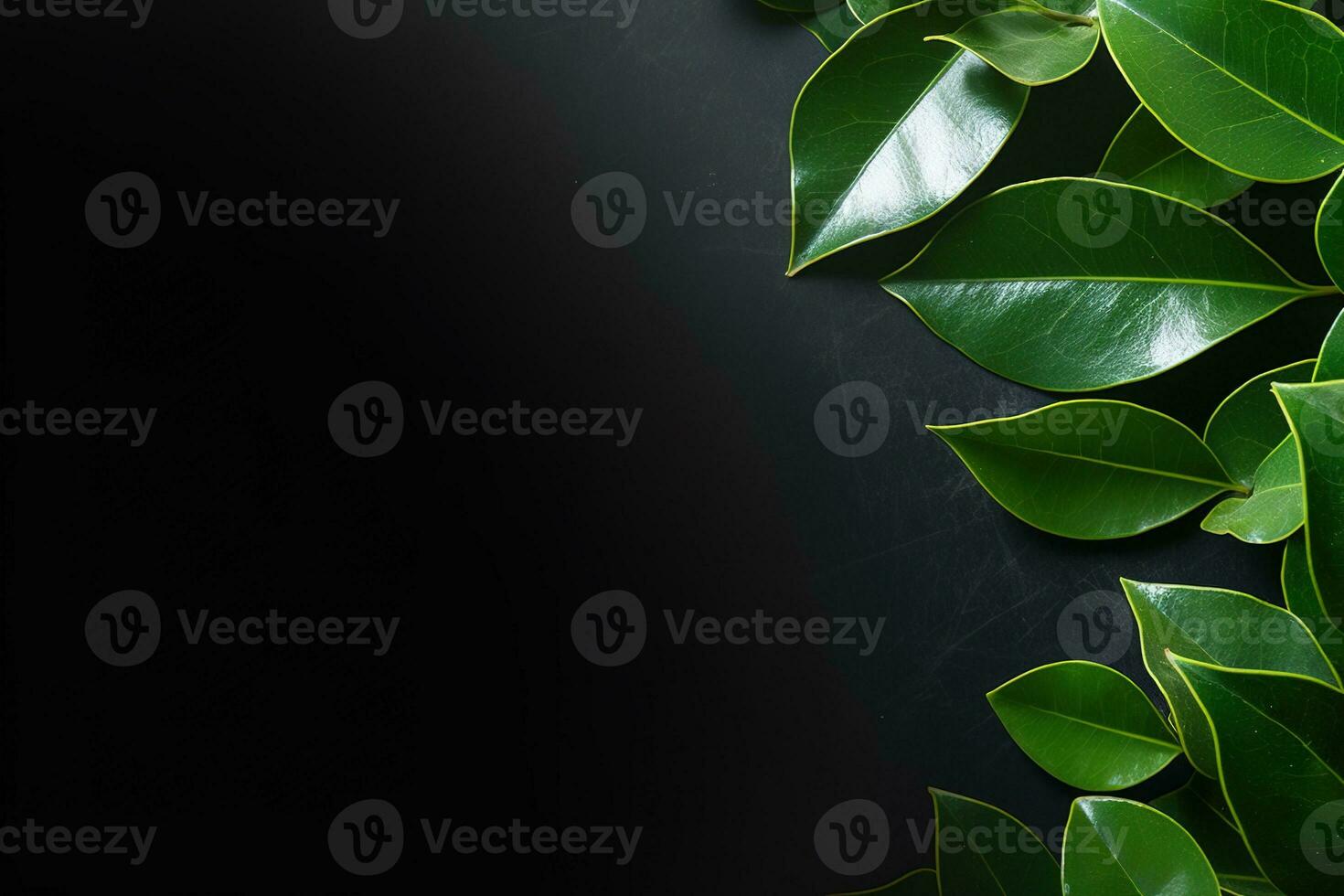 Leaves on dark background. Black background with frame made of green leaves and copy space. AI Generated photo