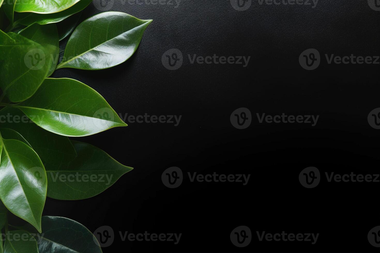 Leaves on dark background. Black background with frame made of green leaves and copy space. AI Generated photo