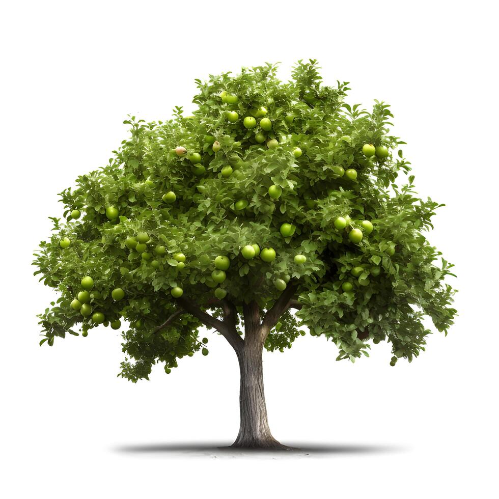 Apple tree isolated on a white background.  Generative AI photo