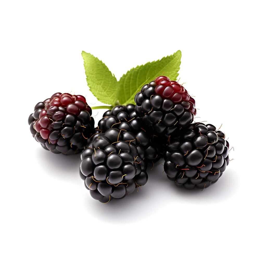 Fresh Blackberry in Vibrant Water Splash - Juicy Burst of Fruity Refreshment on White photo