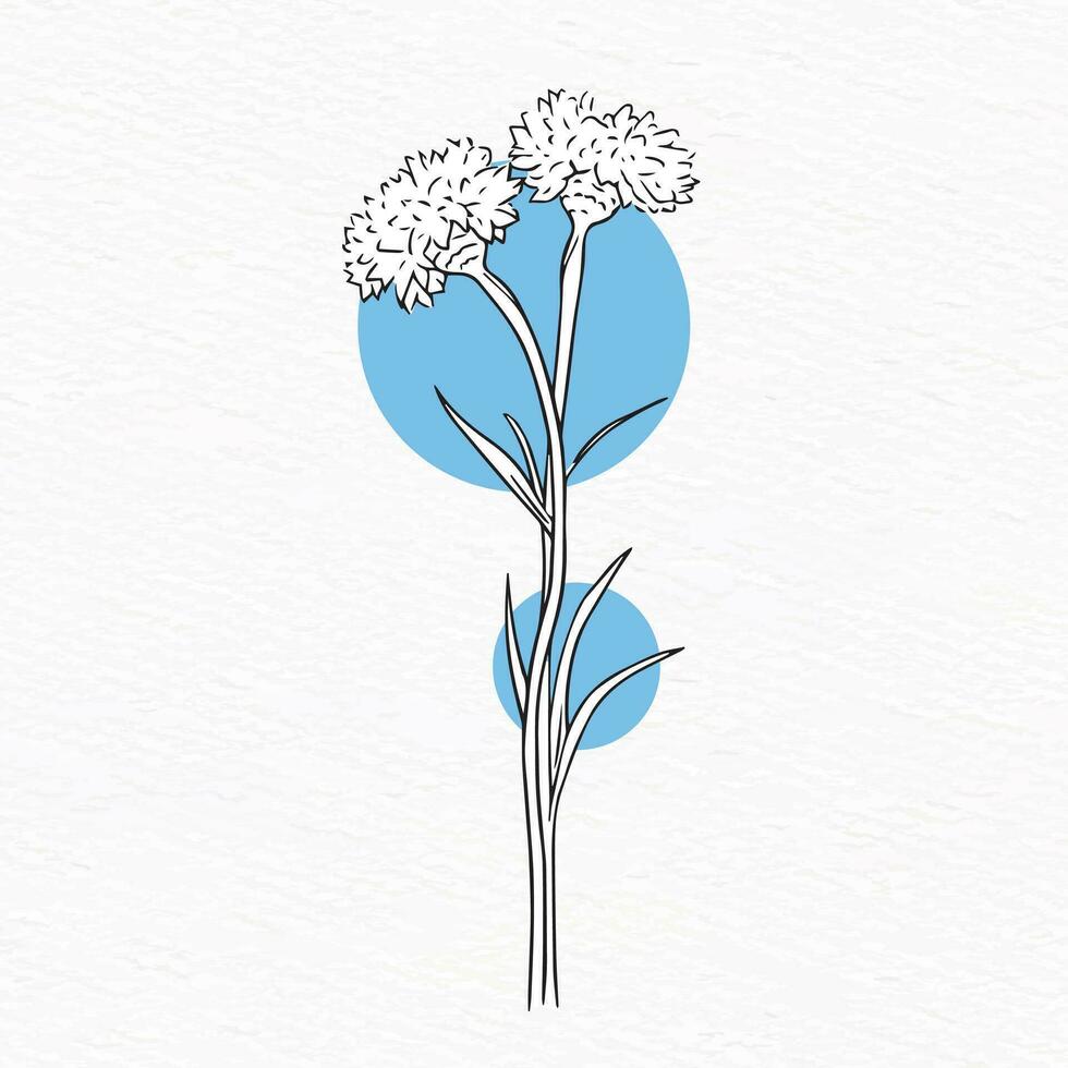 Flower line drawing with abstract background Clipart vector