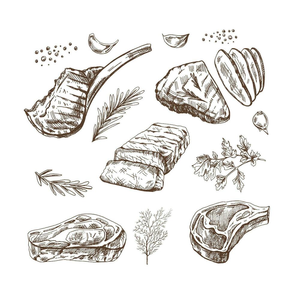 un conjunto de dibujado a mano bocetos de parilla carne piezas con hierbas y condimentos para el diseño de el menú de restaurantes y cafés, bistecs Clásico garabatear ilustración. el grabado imagen. vector