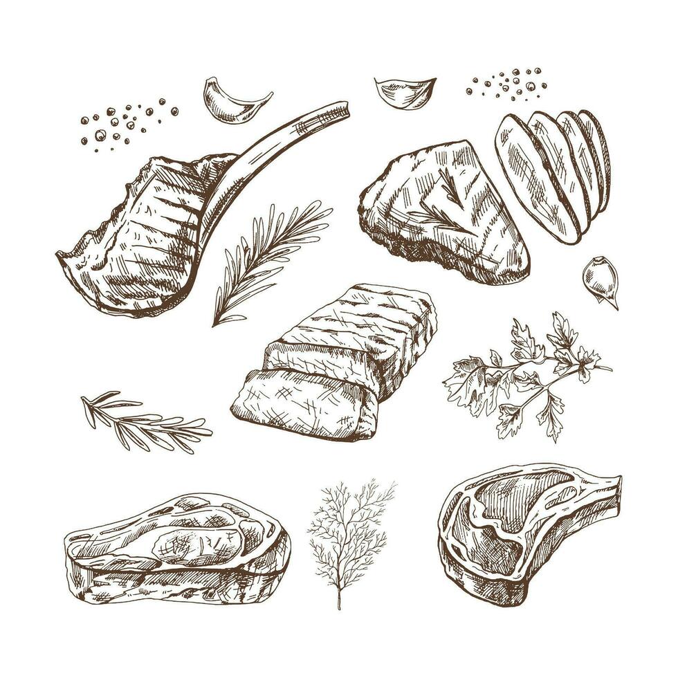 A set of hand-drawn sketches of barbecue meat pieces with herbs and seasonings. For the design of the menu of restaurants and cafes, steaks. Vintage doodle illustration. The engraved image. vector