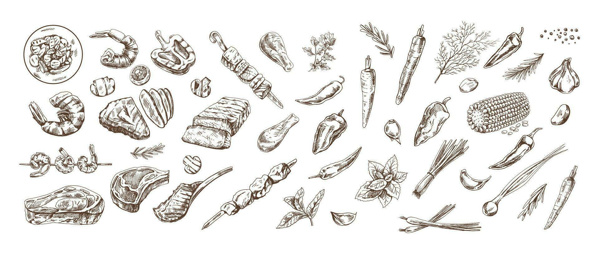 A set of hand-drawn sketches of barbecue and picnic elements. For the design of the menu of restaurants and cafes, grilled food. Doodle vintage illustration. Engraved image. vector