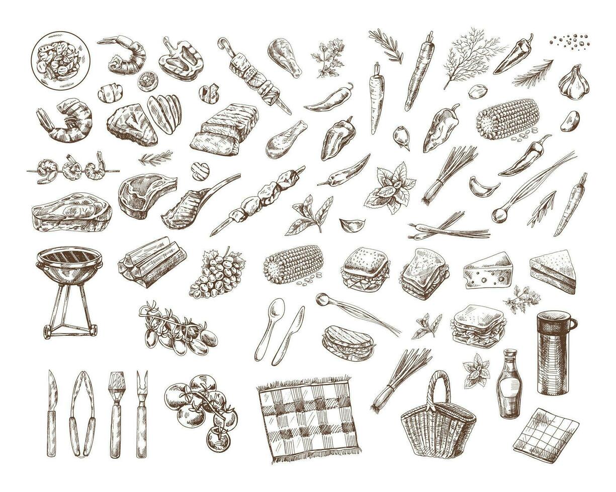 A set of hand-drawn sketches of barbecue and picnic elements. For the design of the menu of restaurants and cafes, grilled food. Doodle vintage illustration. Engraved image. vector