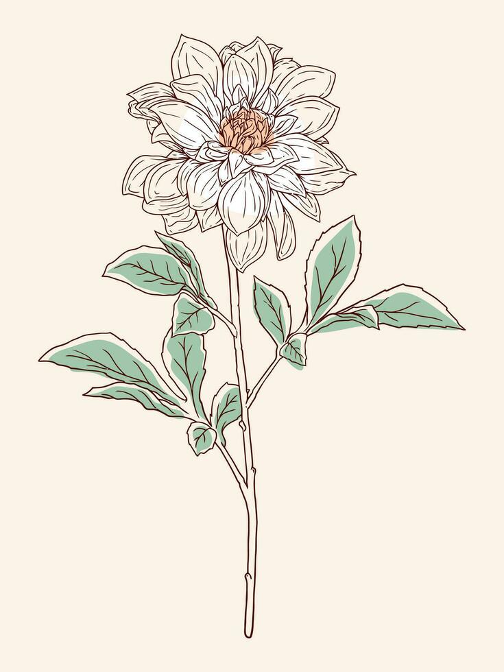 minimalista mano dibujo flor ilustración con detallado línea Arte vector