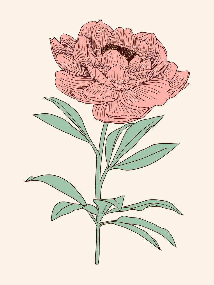 Hand drawing flower illustration with detailed line art 02 vector