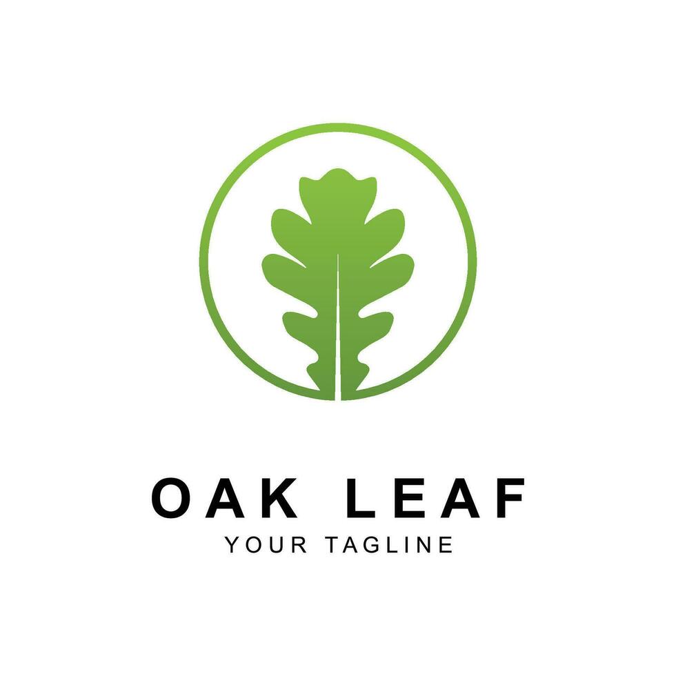 Oak leaf logo design template vector