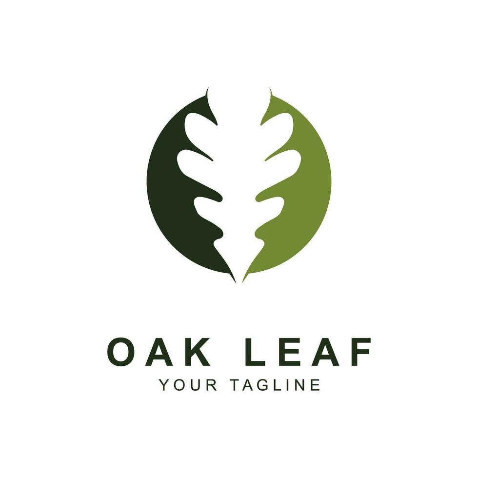 Oak leaf logo design template vector