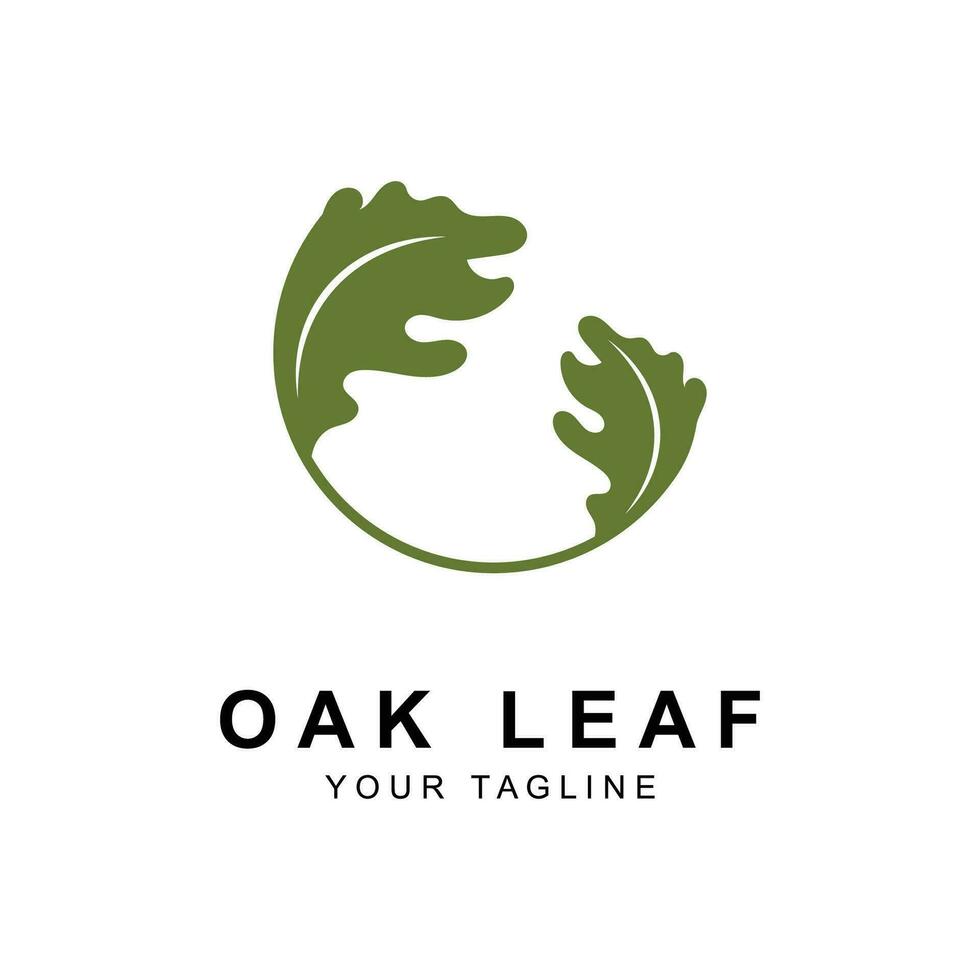 Oak leaf logo design template vector