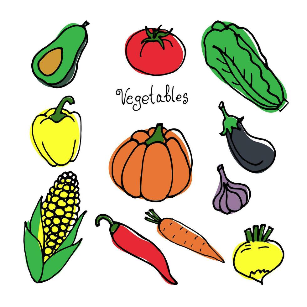 conjunto de vegetales dibujado en dibujos animados estilo. color vector elementos en blanco antecedentes tomate, lechuga, pimienta, cebolla, ajo, palta, maíz, calabaza, nabo, berenjena y zanahoria.