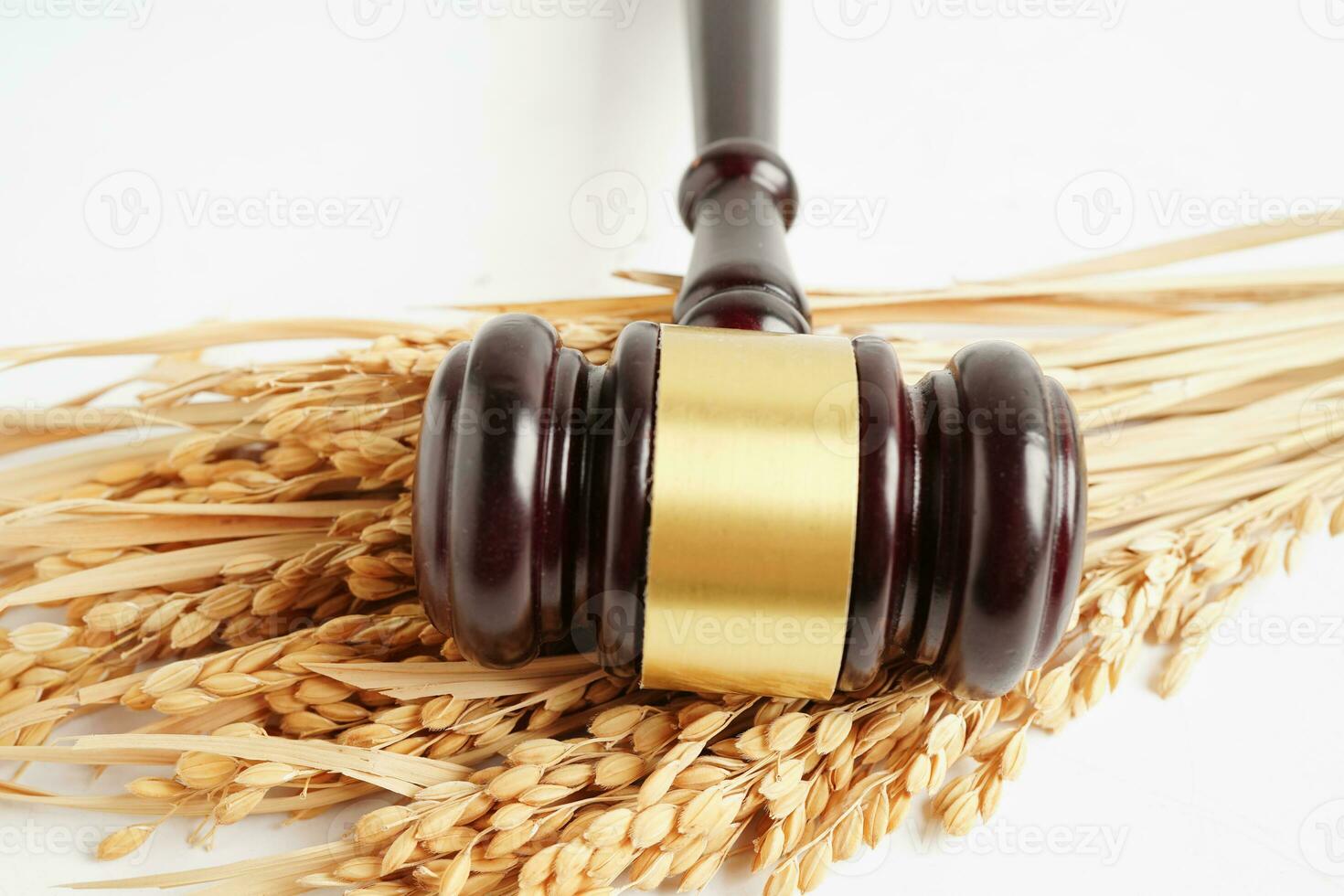 Judge gavel hammer with good grain rice from agriculture farm. Law and justice court concept. photo