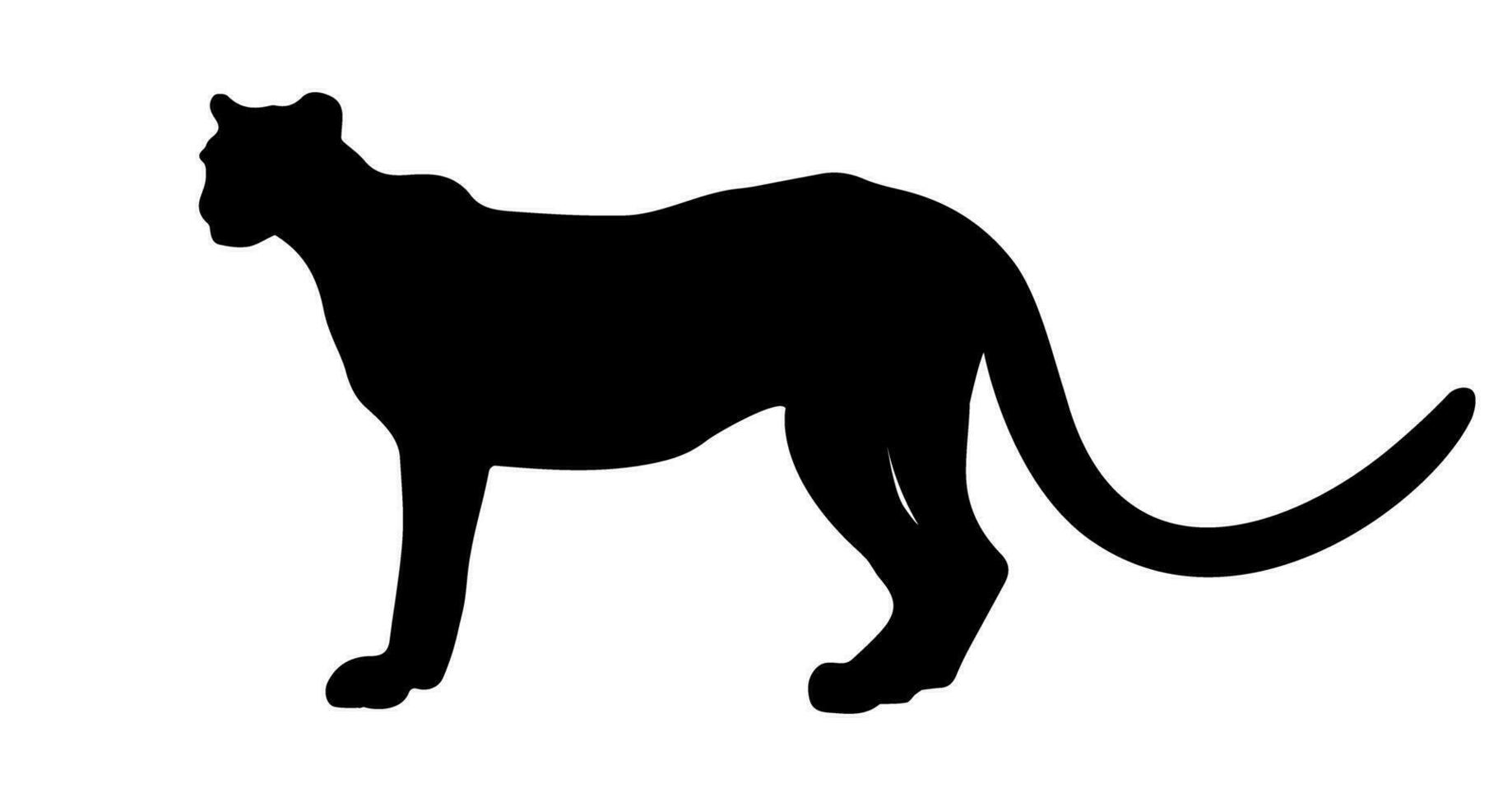 Leopard silhouette isolated on white background. Vector illustration
