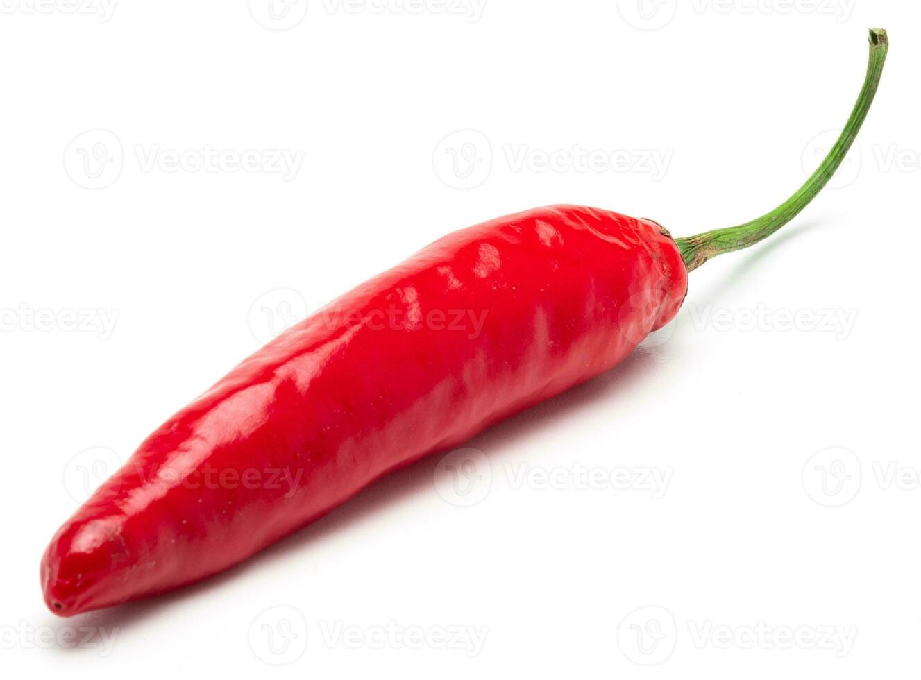 Red Chili Pepper Isolated. Realistic Red Chili Pepper on a White Background. photo