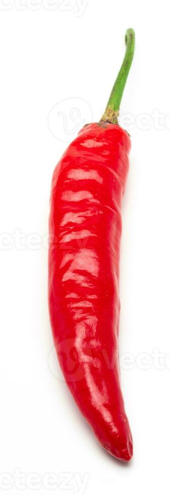 Red Chili Pepper Isolated. Realistic Red Chili Pepper on a White Background. photo