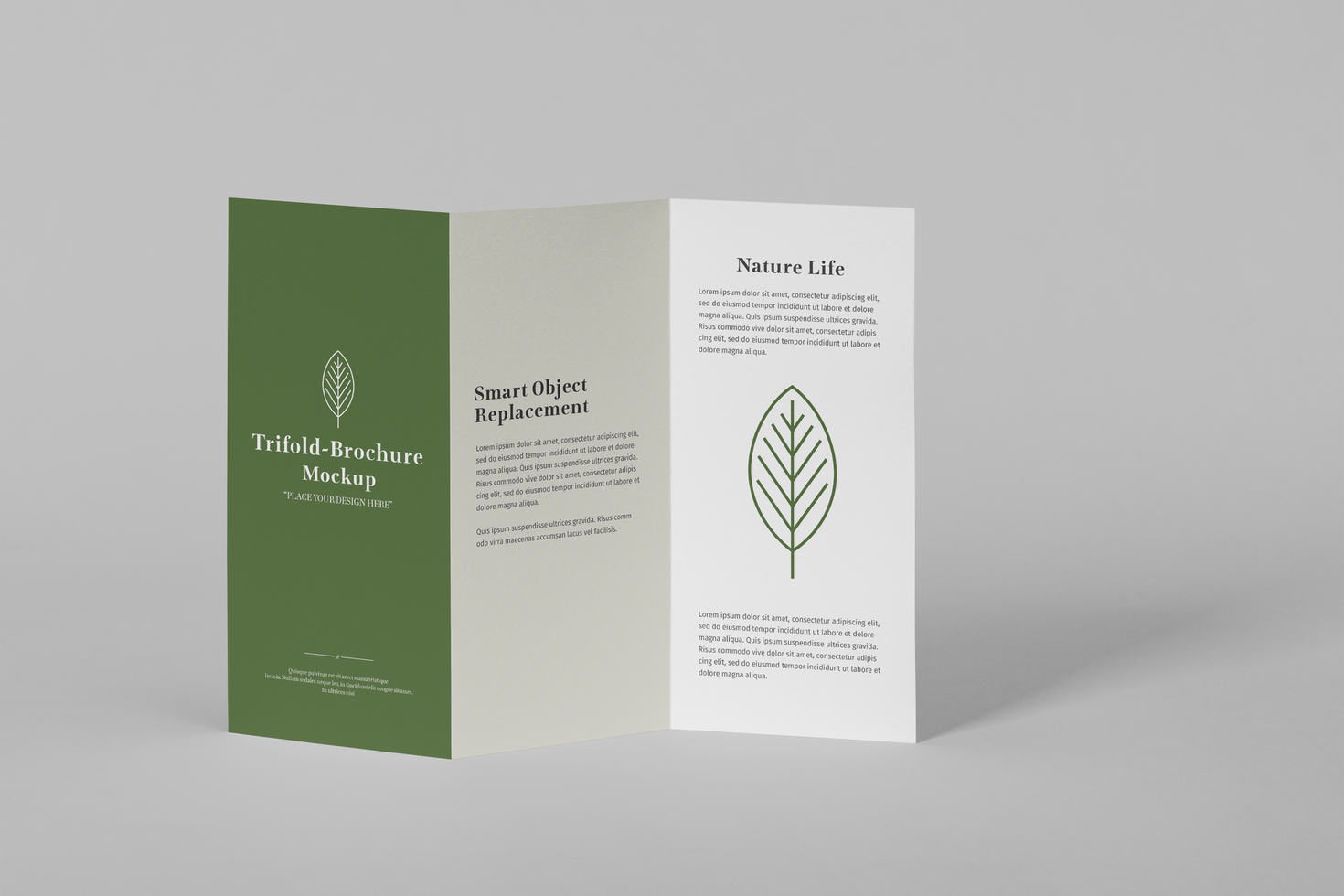 A4 Size Trifold Brochure Mockup Template psd