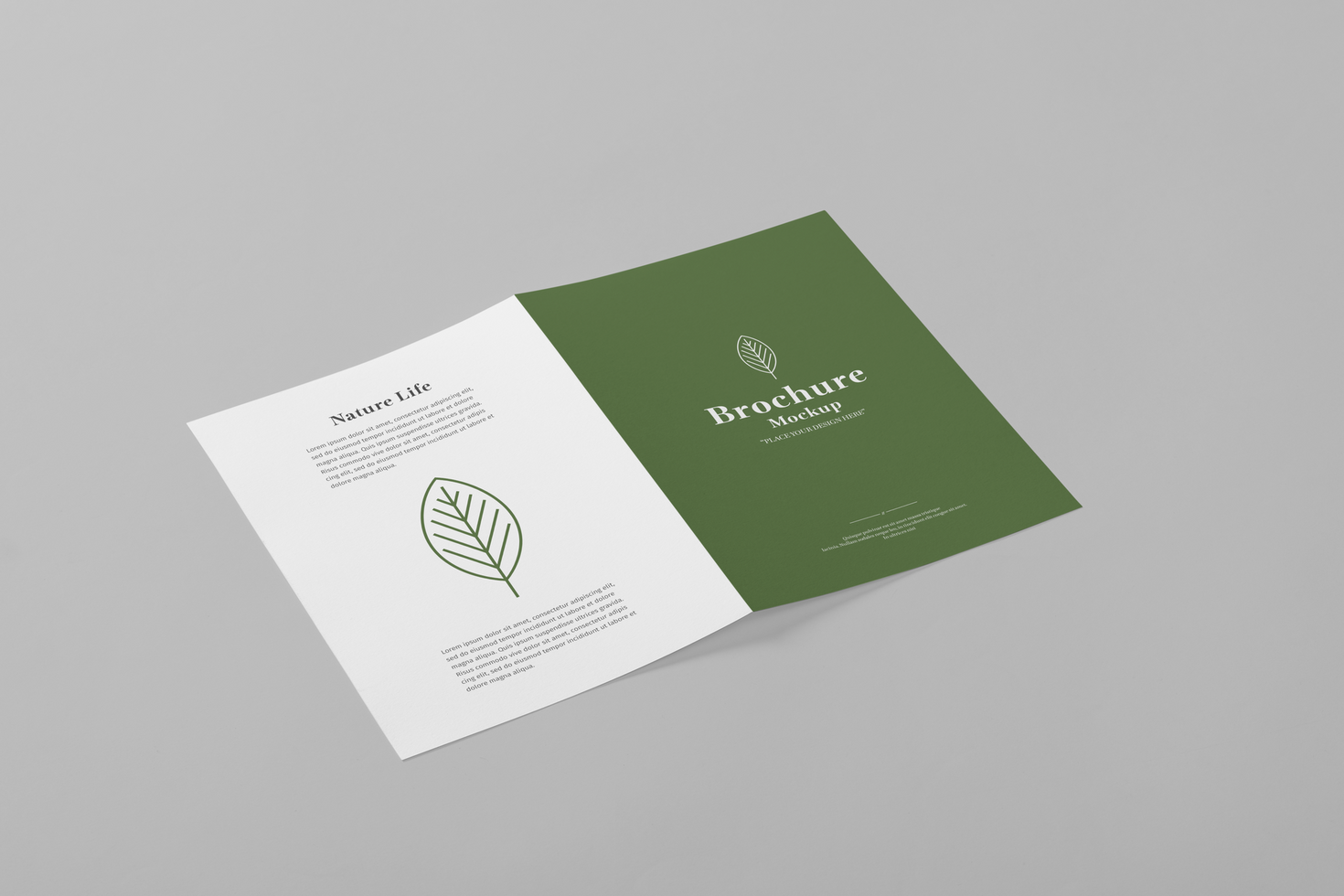 A4 Bifold Brochure Mockup Template psd