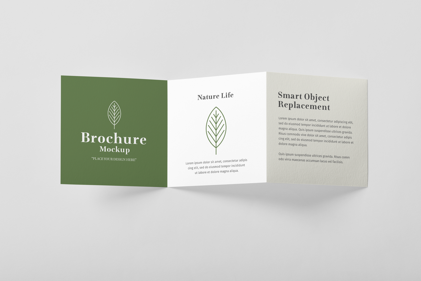 Trifold Brochure Mockup Template psd