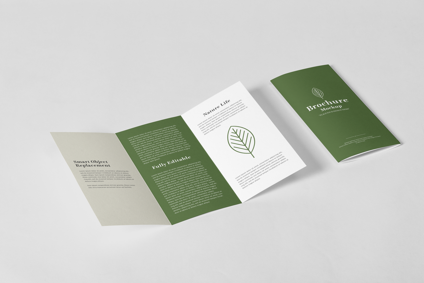 Folded Brochure Mockup Template psd