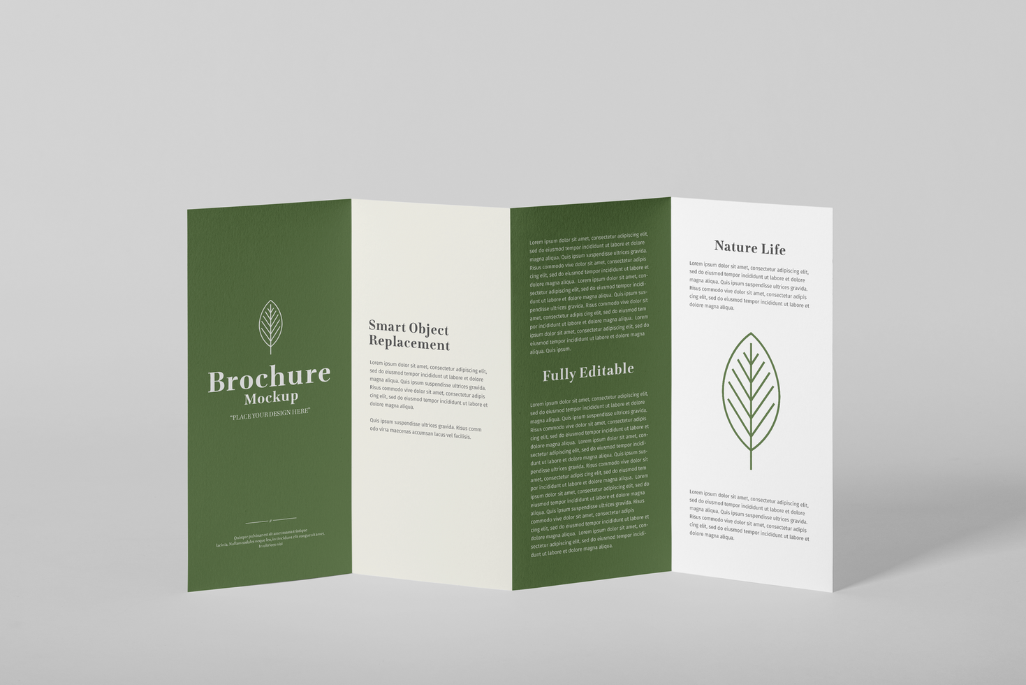 Folded Brochure Mockup Template psd